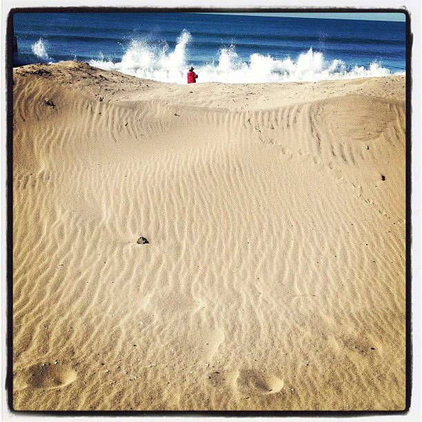 Surf’s Up