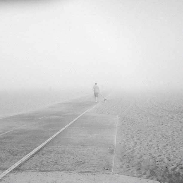 Dogwalker