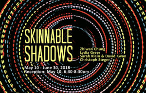 skinnableshadows_banner