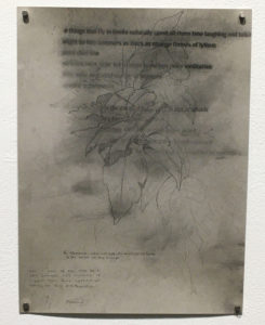 Jonathan Herrera Soto & R. Treshawn Williamson