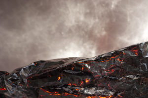 Burn_Regrow _ Anna Rotty