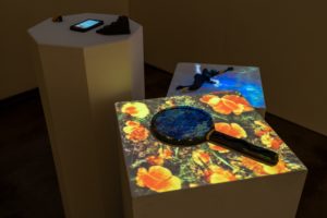 Alexa Burrell JKB09806 sm