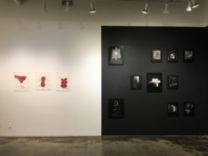 Elnaz Javani_tamara suarez porras