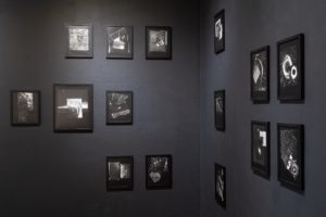 tamara suarez porras JKB09776 sm