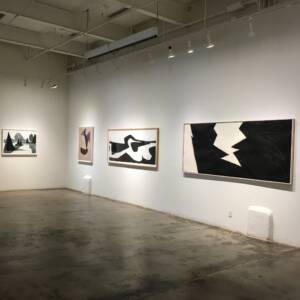 Archana Horsting: On the Fringe of the Field, A Survey of Works 1972-2022, install view