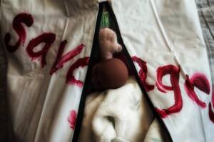 2023-02-23_03-15-45_52707675043_o