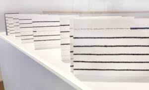 EmbodiedPress_INSTALL_Beckman