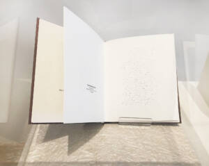 EmbodiedPress_INSTALL_Neilson