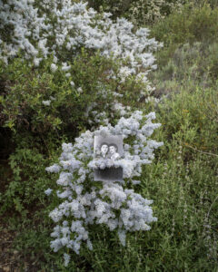 Copy of Elkins_APlaceWhereWeAreInTheSun_01