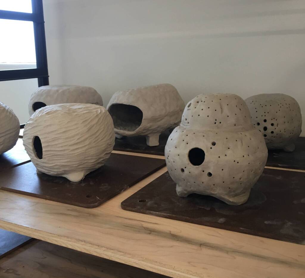 Ceramic Pinch Pots & Objects with Melissa Wang