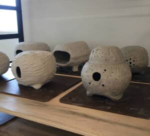 Ceramic Pinch Pots & Objects with Melissa Wang