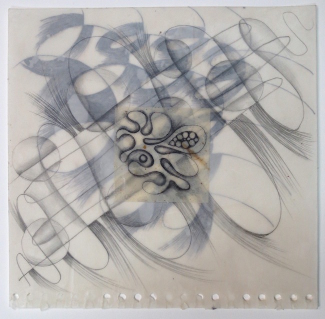 Triple Sketchbook: Biomorphics