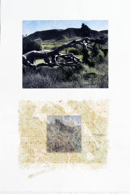 Desert Series - Joshua Tree