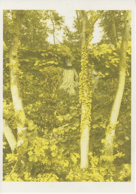 Leo II in the Bushes
