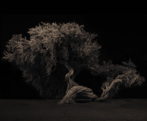 Adam Gerlach