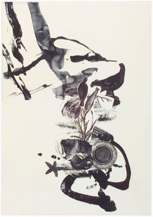 Donna Brookman